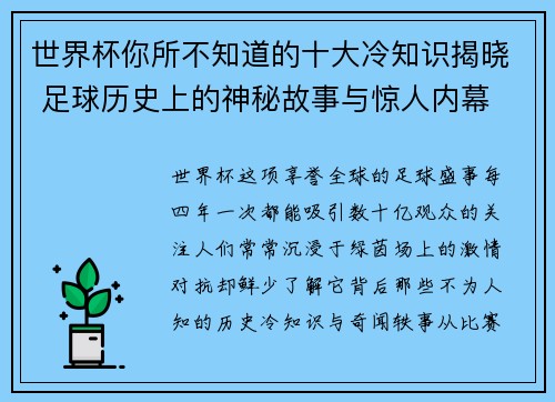 世界杯你所不知道的十大冷知识揭晓 足球历史上的神秘故事与惊人内幕