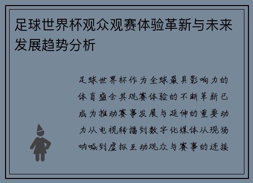 足球世界杯观众观赛体验革新与未来发展趋势分析 足球世界杯观众观赛体验革新与未来发展趋势分析